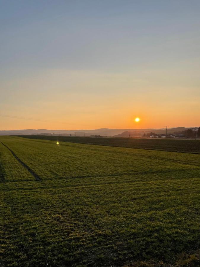 Petryhof Apartment Morsdorf Bagian luar foto